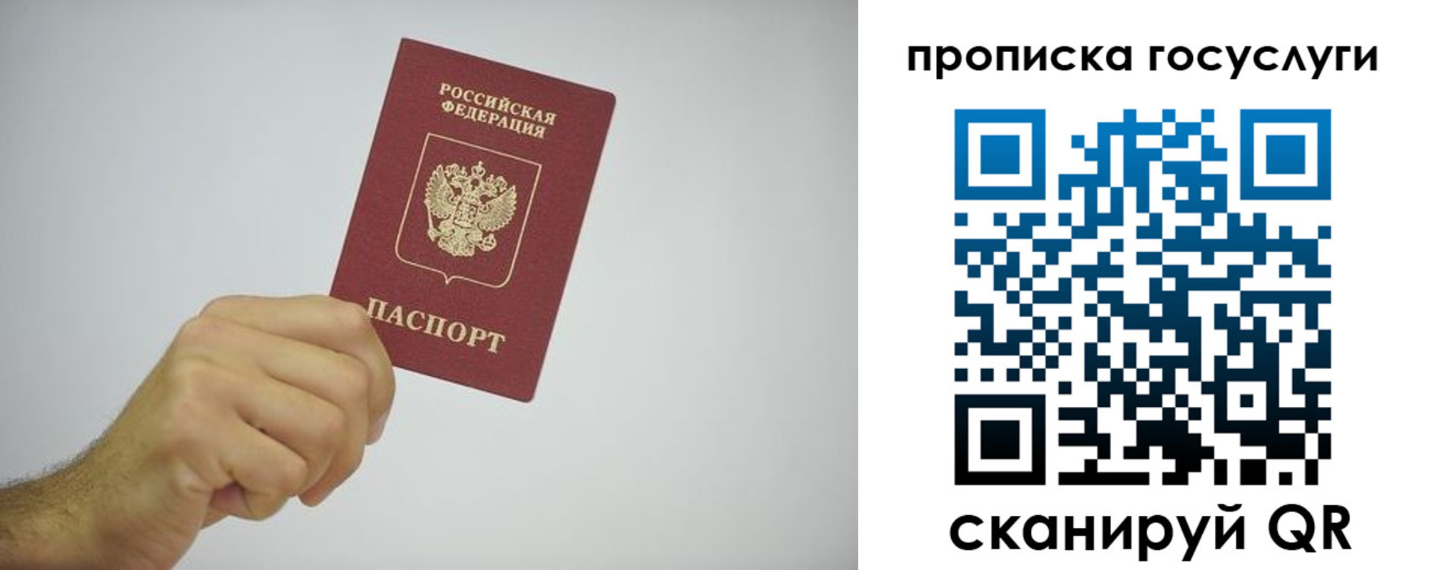прописка законно в Ельце